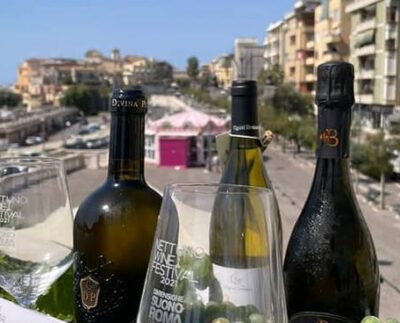 Nettuno Wine Festival