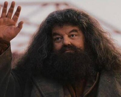 Hagrid Harry Potter