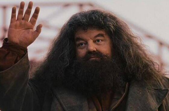 Hagrid Harry Potter