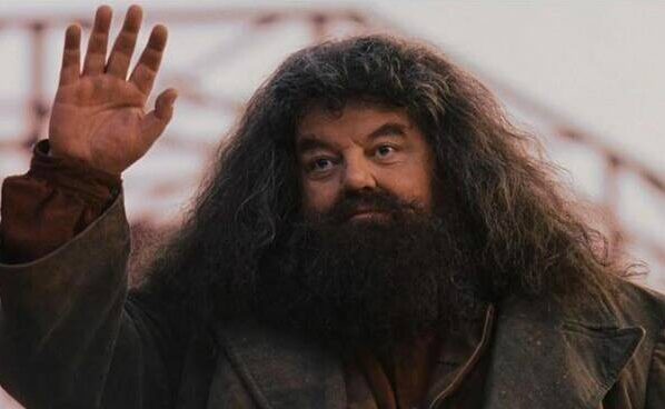 Hagrid Harry Potter