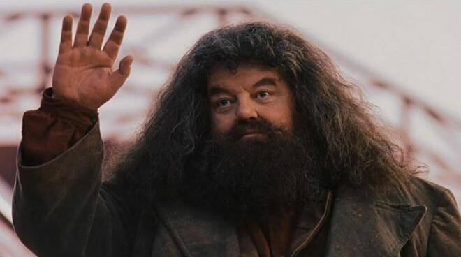 Hagrid Harry Potter