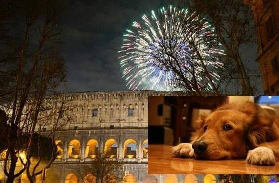 Botti cani capodanno