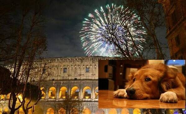 Botti cani capodanno