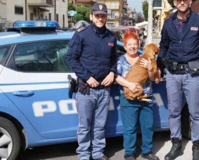 polizia cane ladispoli