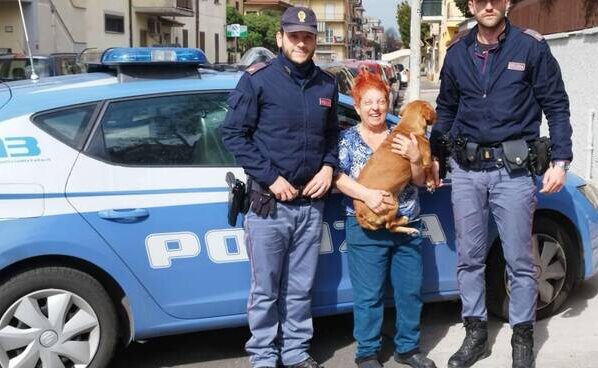 polizia cane ladispoli