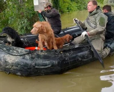 animali soccorsi emilia romagna