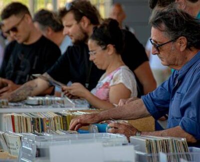 Fiera del disco Parco Da Vinci