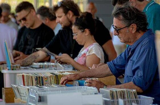 Fiera del disco Parco Da Vinci