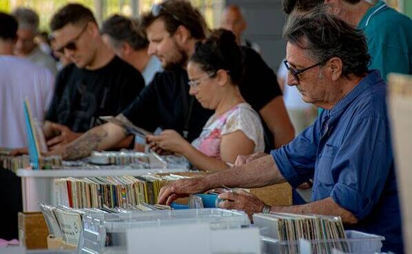 Fiera del disco Parco Da Vinci