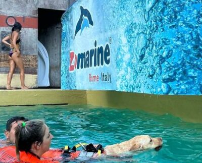 "A quattro zampe": a Zoomarine un evento per festeggiare i cani bagnini