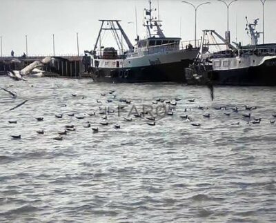 Linea Blu, puntata sulla marineria della pesca a Fiumicino