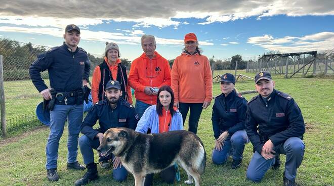 Cane zoppo ed abbandonato ad Ardea: la Polizia di Roma lo adotta