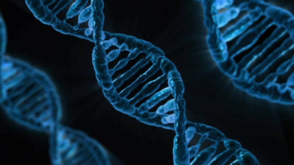 Mytho: il nuovo gene anti-età, scoperto da un team italiano