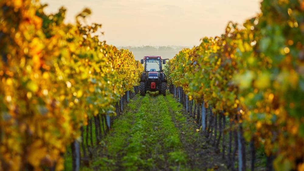 Impianti fonti rinnovabili: per l’installazione serve il coinvolgimento dei Comuni. Radica: Soddisfazione per risultato di Città del Vino