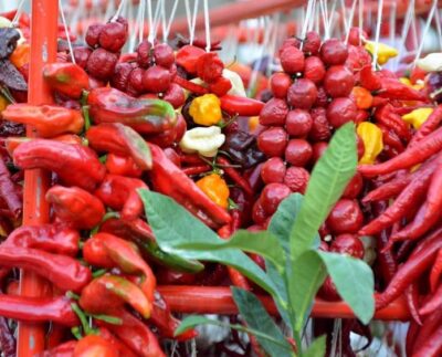 A Fiumicino "Peperoncino che Passione", l'evento per gli amanti dei sapori piccanti