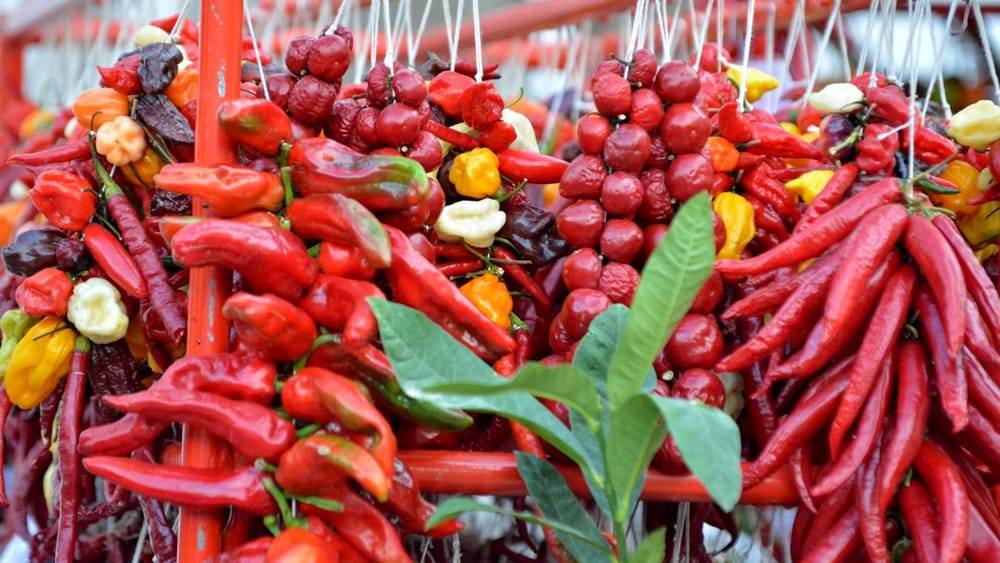 A Fiumicino “Peperoncino che Passione”, l’evento per gli amanti dei sapori piccanti