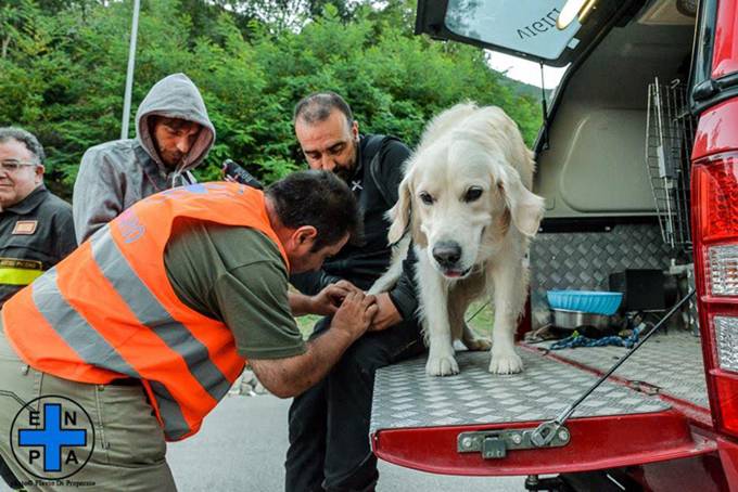 Protezione animali, siglato protocollo d’intesa tra il Corpo Nazionale dei Vigili del fuoco e l’Enpa